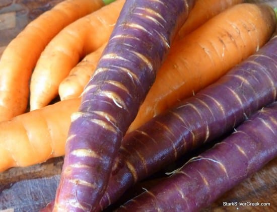 Purple and Orange Purple and Orange