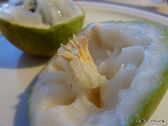 Star Apple Star Apple