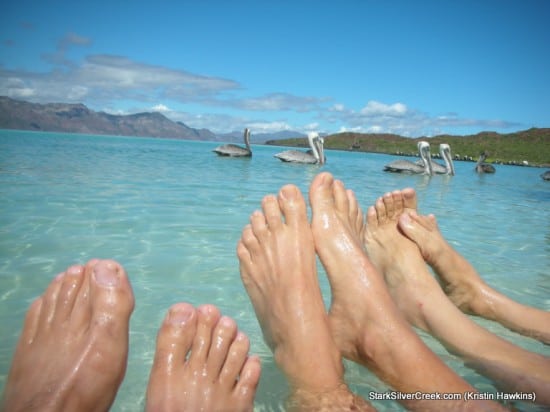 The Loreto Project Photo Contest The Loreto Project Photo Contest