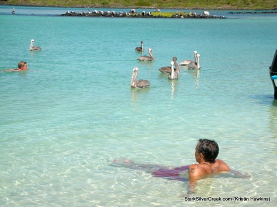 Photos of Loreto, Kristin Hawkins Photos of Loreto, Kristin Hawkins