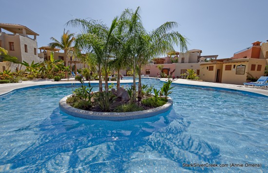 Founder's Pool Founder's Pool