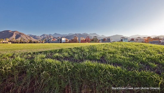 Worm's Eye View Worm's Eye View