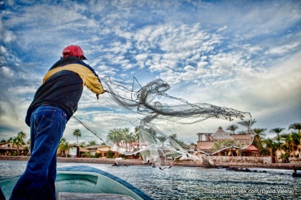 2011 Loreto Calendar Photo Contest 2011 Loreto Calendar Photo Contest