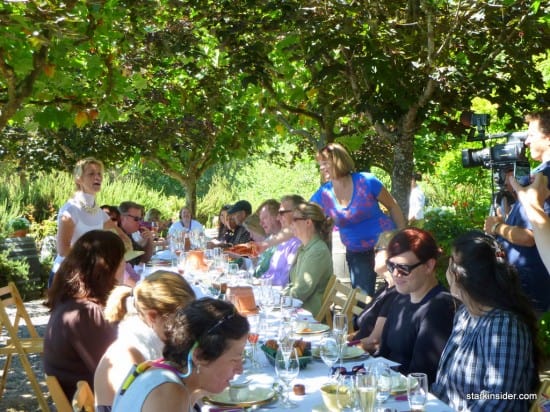 Iron-Horse-Vineyards-53