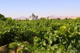 Concannon Vineyard, Livermore Concannon Vineyard, Livermore