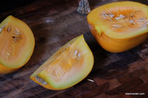 Pumpkin Pie Pumpkin Pie