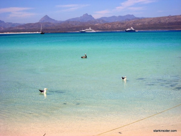 loreto-scorpion-bay2