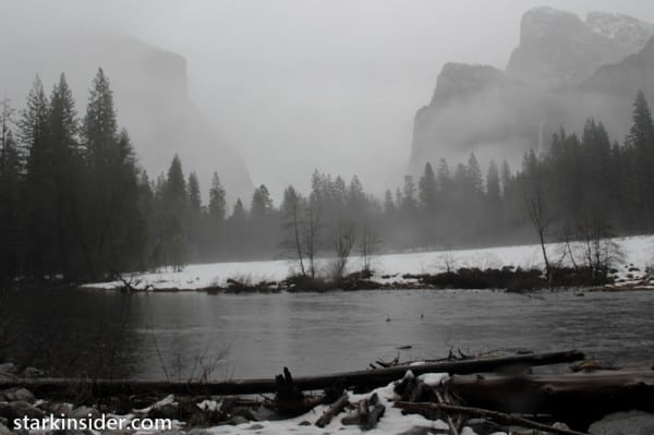 The Mist The Mist