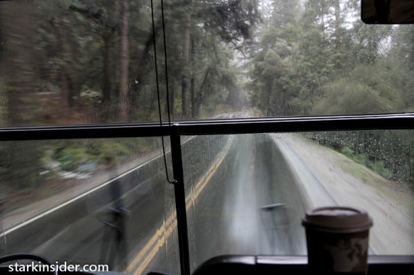 The Bus The Bus