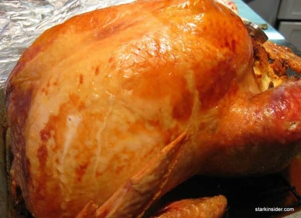 christmas-turkey-life-of-3
