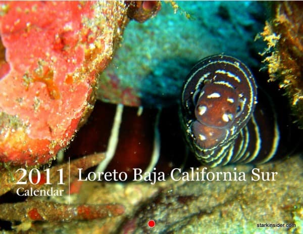 2011-Loreto-Calendar-Final1