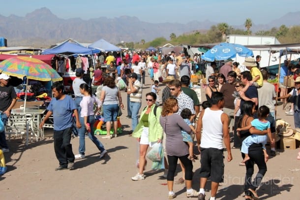 IMG_5031-Stark-Insider