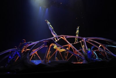 Cirque du Soleil Totem - Bars (Carapace) Cirque du Soleil Totem - Bars (Carapace)