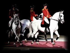 The "World Famous" Lipizzaner Stallions