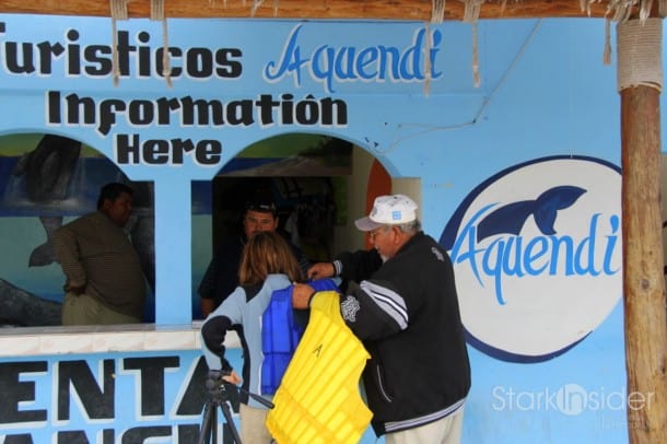 Whale watching in the Pacific Ocean Whale watching in the Pacific Ocean