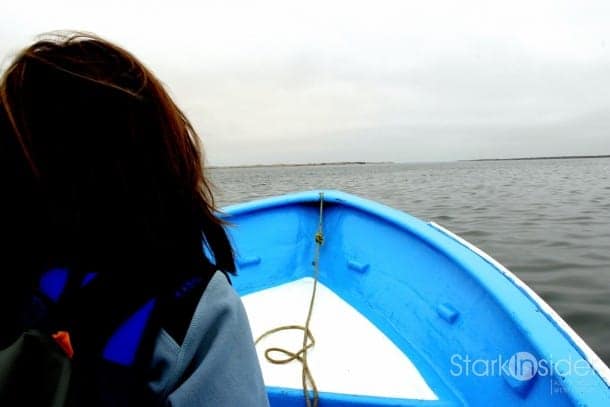 Whale watching in the Pacific Ocean Whale watching in the Pacific Ocean