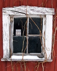 Drinking Window Drinking Window