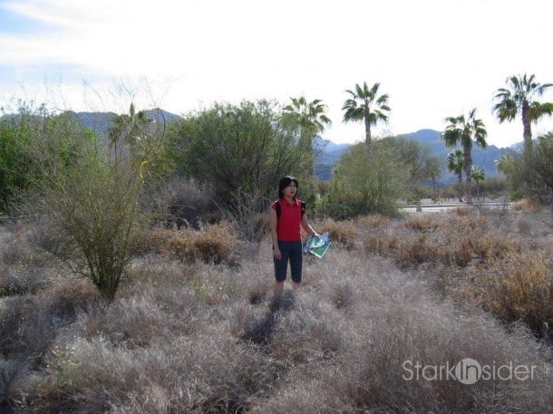 Loreto Bay lots in 2006 Baja desert landscape