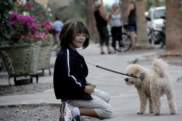 Loreto Dogs Loreto Dogs