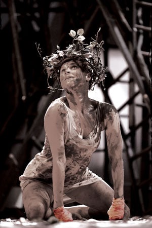 The Wild Bride The Wild Bride