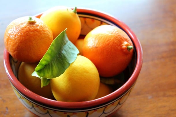 Dwarf-Citrus-Fruit-Trees-Lemons-Oranges-2