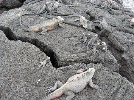 Galapagos Islands
