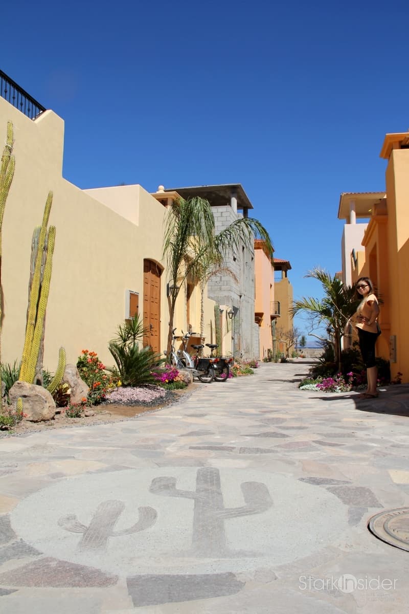Baja News