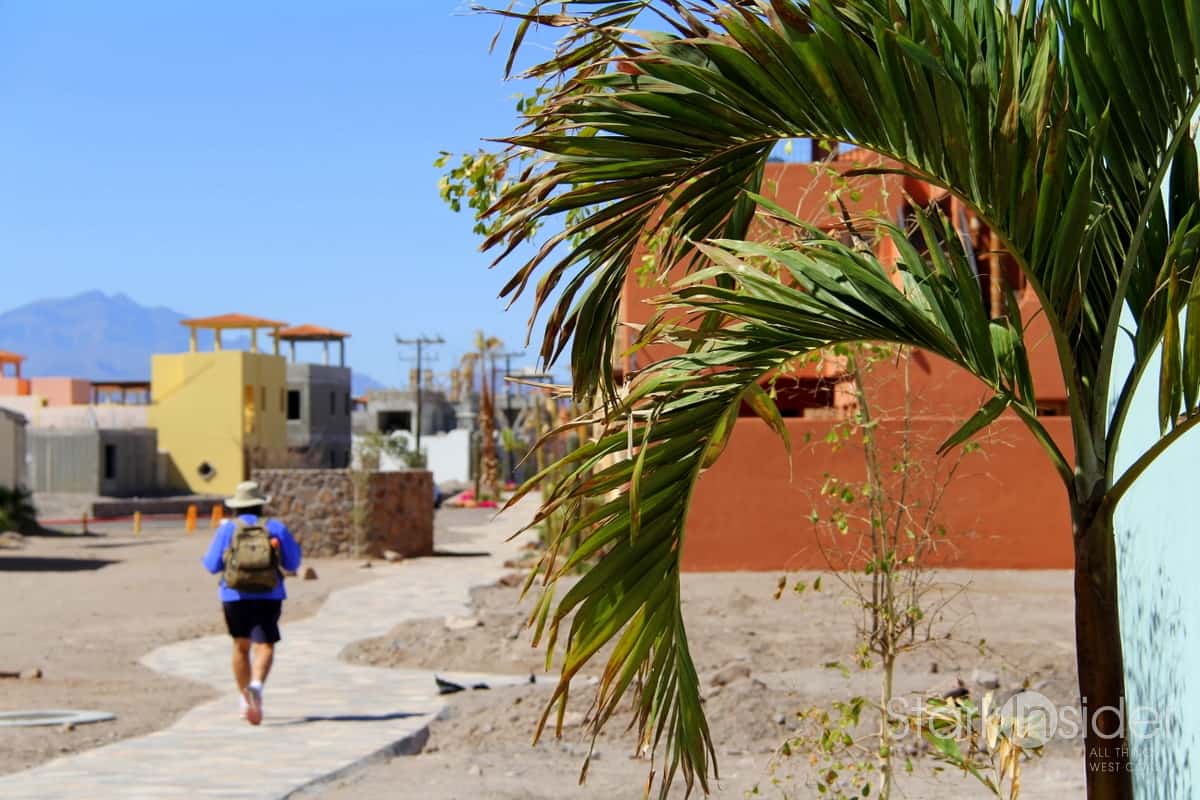 Baja News