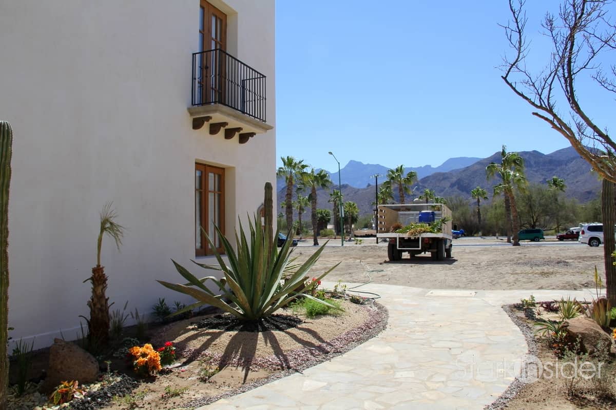 Baja News