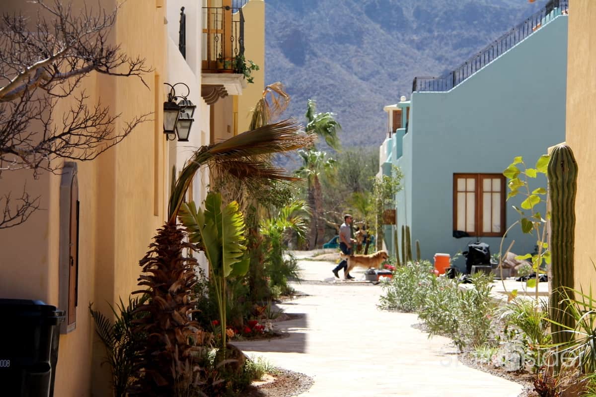 Baja News