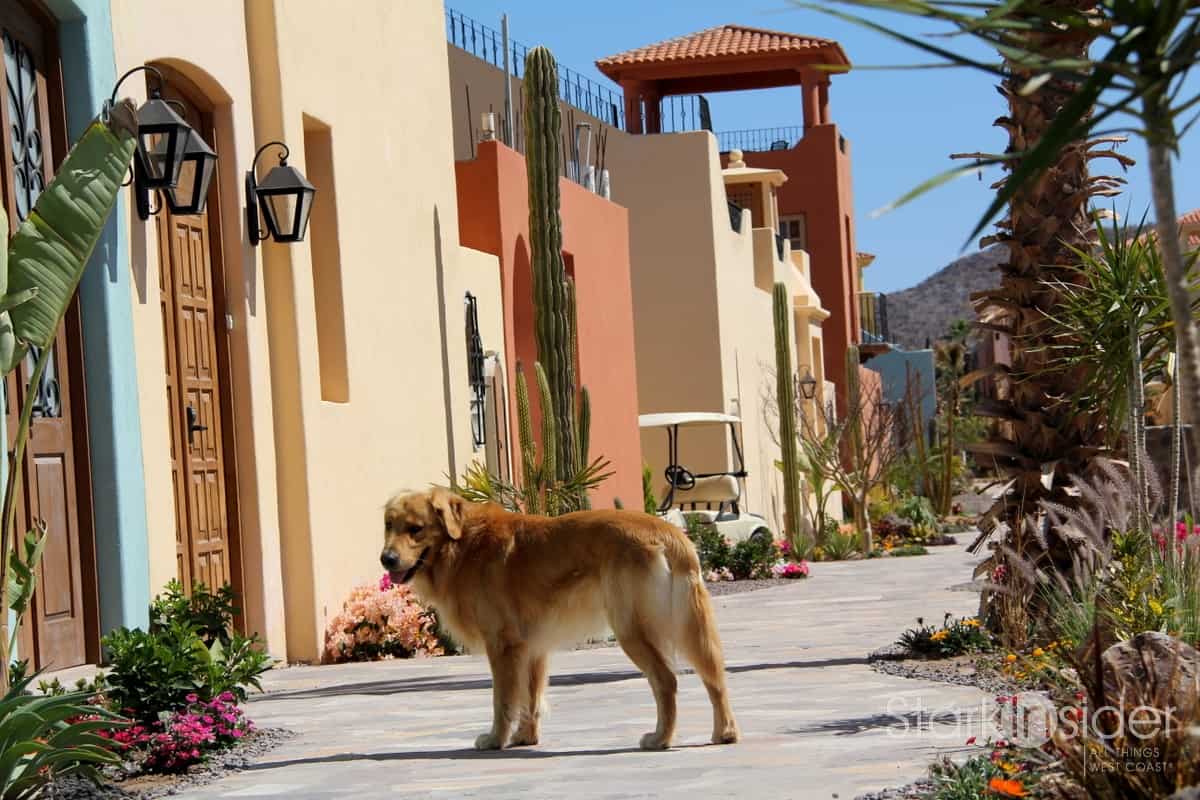 Baja News