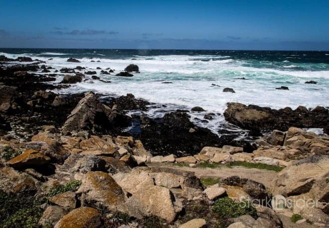 Caymus "Special Selection" Tasting - Pebble Beach Food & Wine