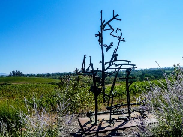 Grape to Glass - Russian River Valley - Sonoma