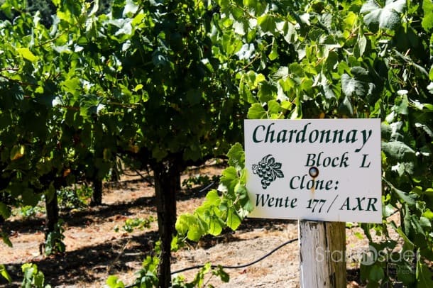 Grape to Glass - Russian River Valley - Sonoma