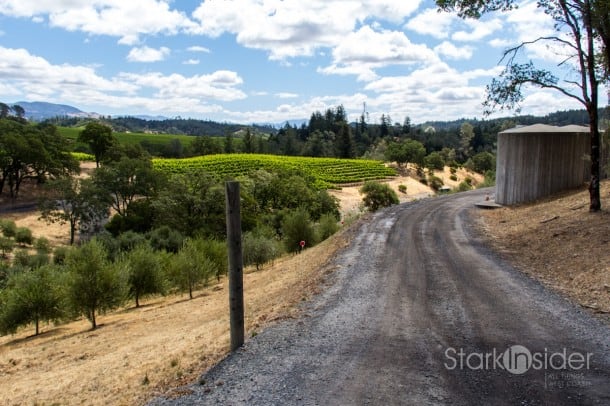Dry Creek Valley General Store - Sonoma County