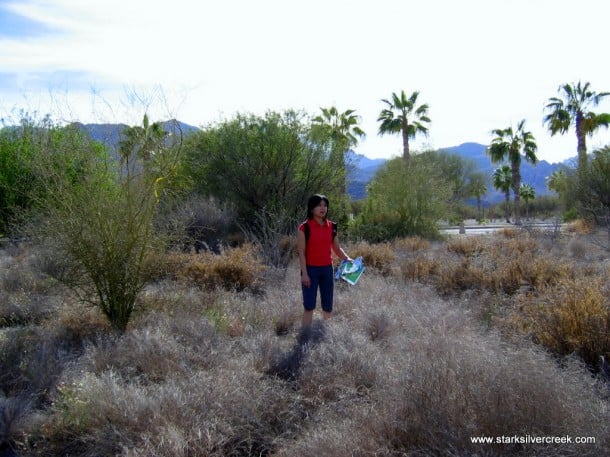 Villages of Loreto Bay lot - Sea of Cortez - buying a home