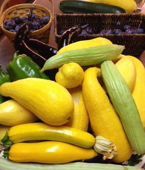 Turnbull Wine Cellars Harvest