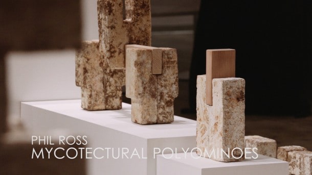Phil Ross - Mycotectural Polyominoes Phil Ross - Mycotectural Polyominoes
