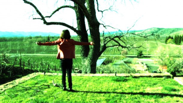 Loni Stark - Napa Valley Loni Stark - Napa Valley