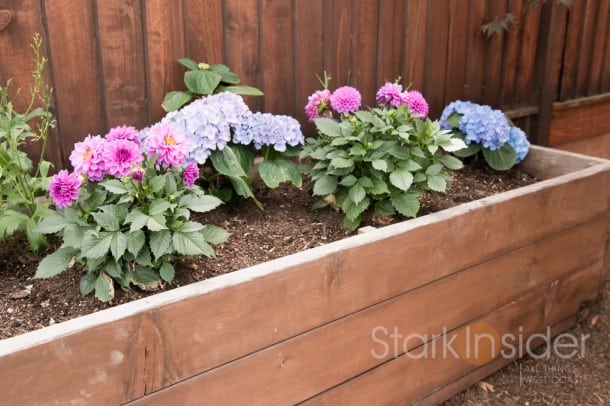 DIY Project - Build a Garden Planter Garden-Box-Plans-Loni-California-2123