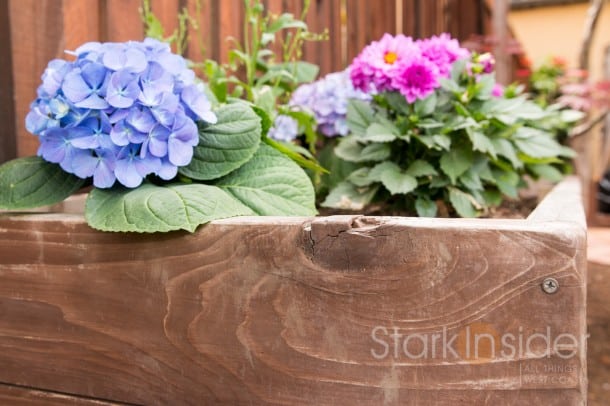 DIY Project - Build a Garden Planter Garden-Box-Plans-Loni-California-2124