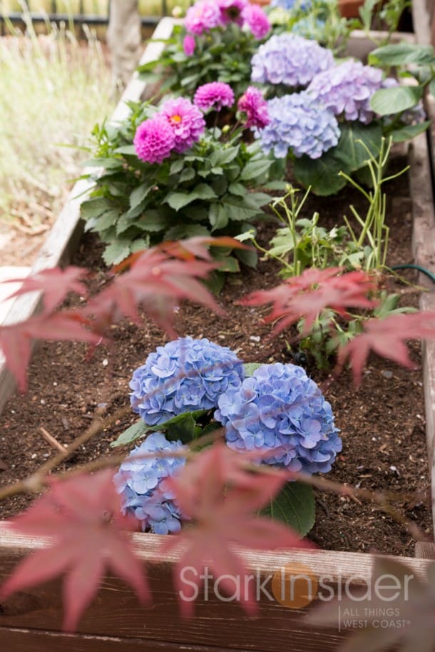 DIY Project - Build a Garden Planter DIY Project - Build a Garden Planter