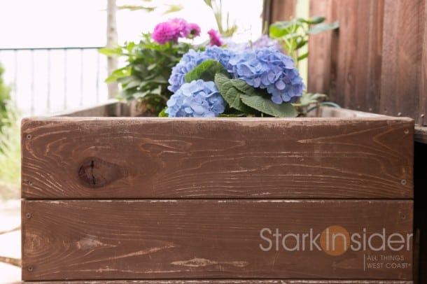 How to build a planter box - Download Loni's Plans Garden-Box-Plans-Loni-California-2129