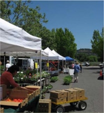 Napa Farmers Market