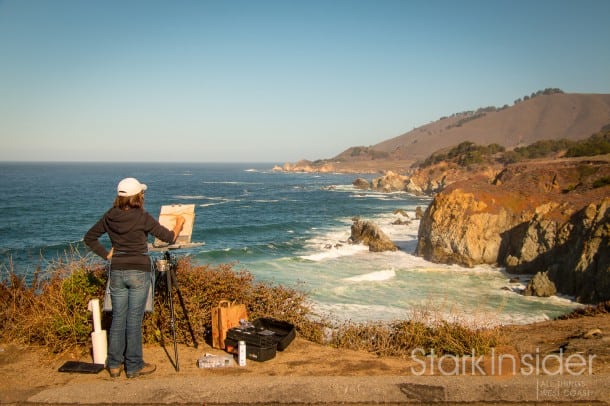 Rocky-Point-Big-Sur-stark-insider