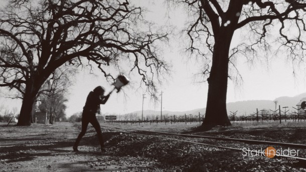 Premiere Napa Valley smashes record, raises $6 million Premiere Napa Valley smashes record, raises $6 million