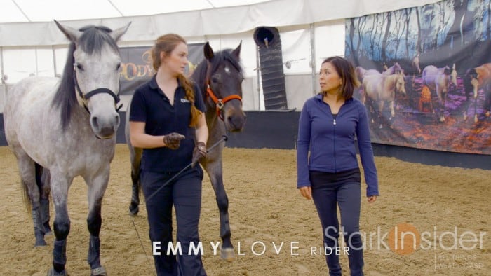 Cavalia Odysseo - Horse Training Video