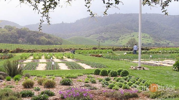 Napa Valley Vineyards and Hills