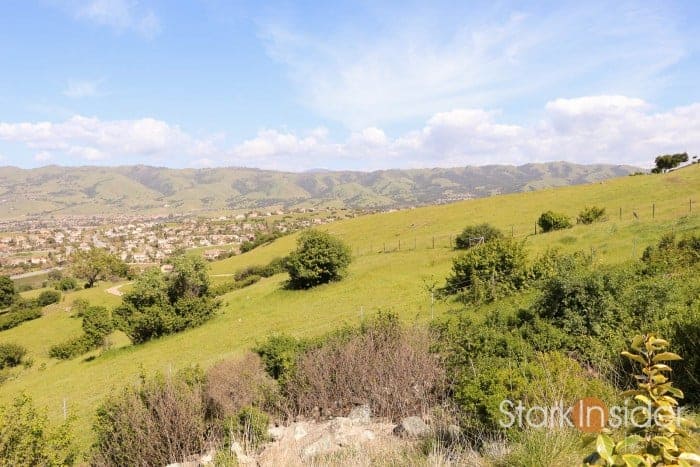 Canon EOS 80D Test Photo Gallery - Clinton Stark