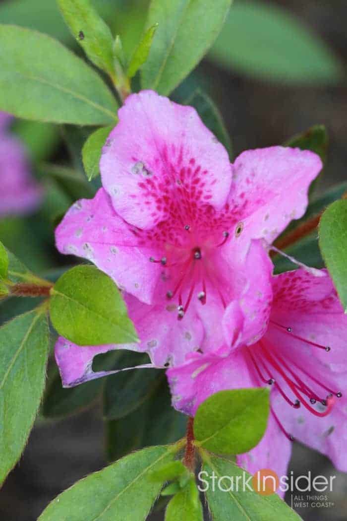 Canon EOS 80D Test Photo Gallery - Clinton Stark